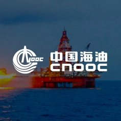 中国海油加速数字化升级，电商平台助力业务再次腾飞